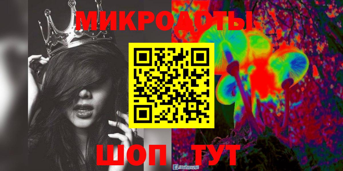 Псилоцибиновые грибы Psilocybine cubensis Заволжье