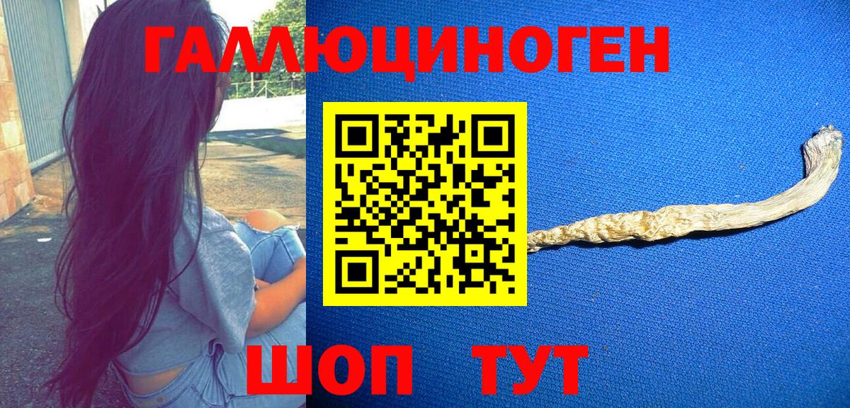 Псилоцибиновые грибы прущие грибы  Вход с VPN  Заволжье 