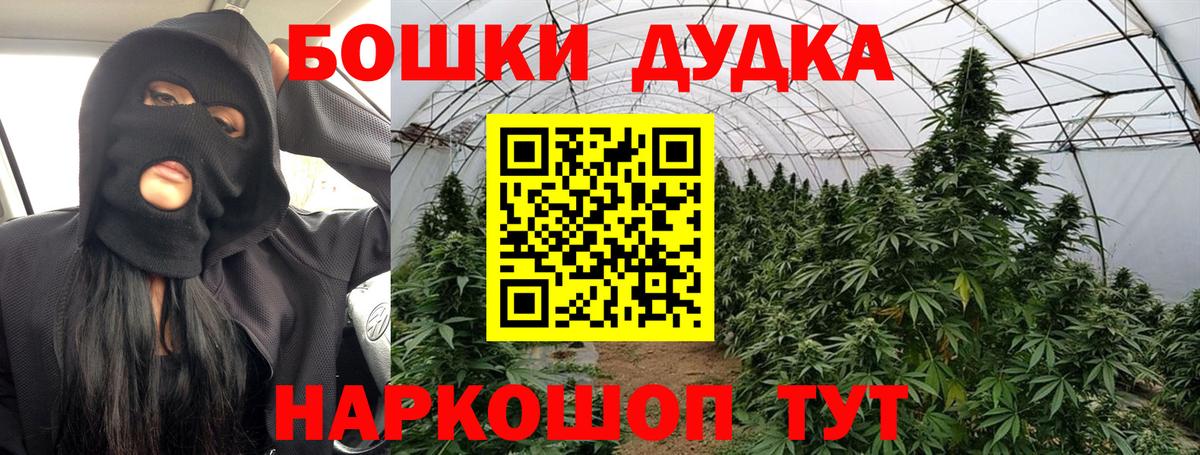 Шишки марихуана сатива Заволжье